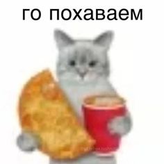 a cat is holding a slice of pizza and a red cup in its hand with the caption, y'te nito una una pizza