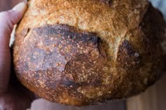 a close up of a person holding a loaf of bread