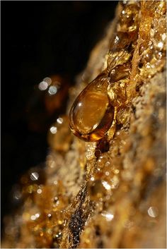 a drop of water sitting on top of a piece of gold foil next to some bubbles