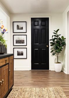 a black door in a white room with pictures on the wall and a potted plant