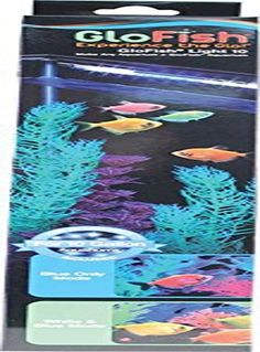 an image of a fish tank with plants and algaes in the bottom right hand corner