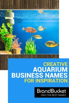 an aquarium with some fish in it and the words creative aquarium business names for inspiration