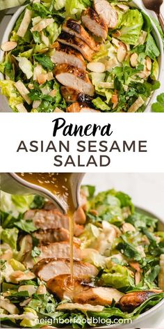 Asian Sesame Salad, Sesame Salad, Asian Salad Recipe, Asian Inspired Salad, Asian Chicken Salads, Salad Dressing Recipes Homemade, Salad Pasta