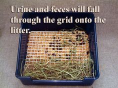 a blue container filled with hay sitting on top of a floor