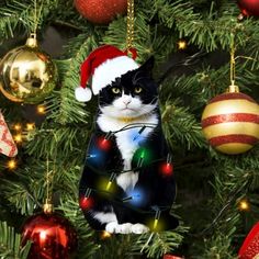 a black and white cat sitting on top of a christmas tree