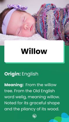 a baby is sleeping on top of a blanket with the words willow written below it