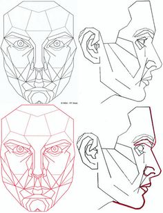 four different types of face shapes, each with one line drawn on the front and side