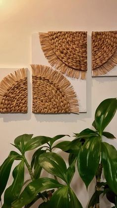 three pieces of woven art hanging on a wall next to a potted green plant