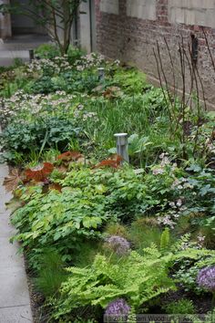 a garden with lots of plants and flowers growing on the side of it next to a building