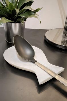 a silver spoon sitting on top of a white plate next to a potted plant