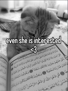 a cat reading a book with the caption even she is interested > 3