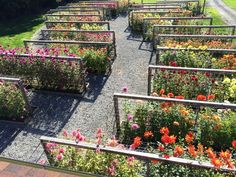 an aerial view of a garden with many different types of flowers and plants in it