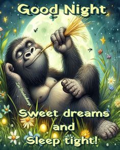 a gorilla is sitting in the grass and holding a stick to its mouth with words good night sweet dreams and sleep tight