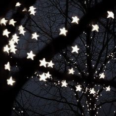 some white stars hanging from the branches of a tree in front of a night sky