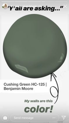 an advertisement for the color green is shown in this advertizer's image