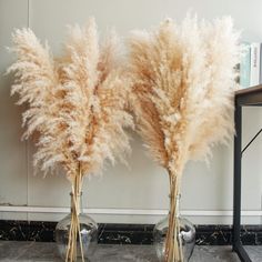 two vases with dried flowers in them sitting on a marble floor next to a book shelf