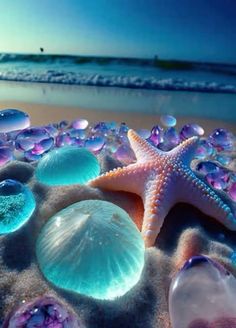 starfish and seashells on the sand at the beach