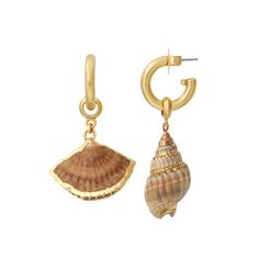 Seashell Earring Charm – Brinker + Eliza Gold Shell Dangle Earrings, Gold Shell With Matching Earrings, Gold Brass Shell Earrings, Gold Shell-shaped Hoop Earrings, Gold Shell-shaped Hoop Earrings For Pierced Ears, Single Shell-shaped Gold Earring, Gold Shell-shaped Brass Earrings, Gold Brass Shell-shaped Earrings, Gold Shell With Matching Earrings Gift