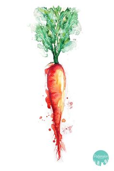 a watercolor painting of a carrot with green leaves on it's top and bottom