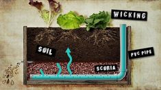 an image of soil with plants growing out of it and words describing the different types of soil