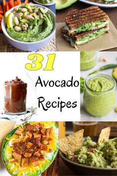 avocado recipe collage with text overlay that reads 31 avocado recipes