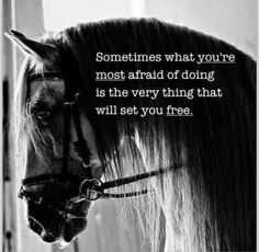 a black and white photo of a horse's face with the words sometimes what you're most afraid of doing is the very thing that will set you free