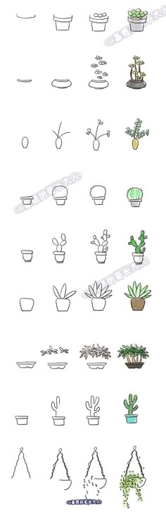 various types of potted plants in different shapes and sizes, all drawn on white paper