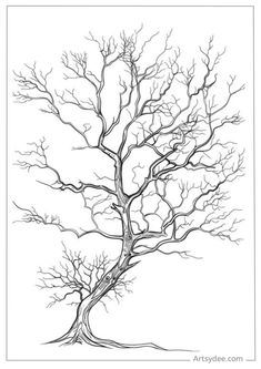 a drawing of a tree with no leaves