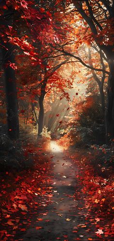 a path in the middle of a forest with red leaves on it's ground