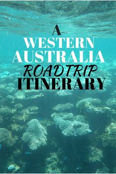 the words, western australia road trip itinerary are above an image of corals