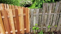 a wooden fence next to a green plant