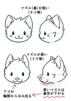 how to draw a cat's head in different ways