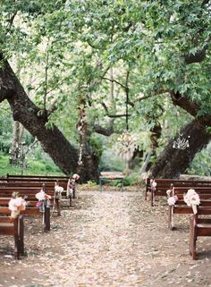 an outdoor ceremony setup with wooden benches and flowers