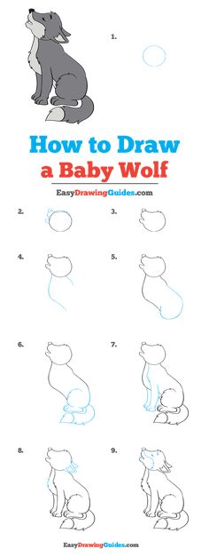 how to draw a baby wolf step by step instructions for children and adults, easy drawing guide