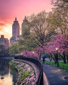 the sun is setting over a river and trees with pink flowers in bloom on either side