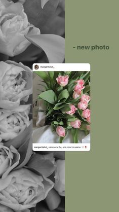 black and white photo with pink flowers in the center, next to an instagram post about new photos