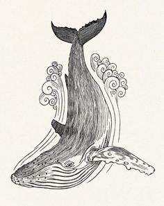 an ink drawing of a whale in the ocean