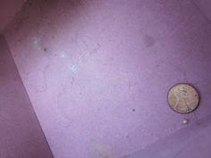 a small coin is sitting on the floor in front of a purple wall with peeling paint