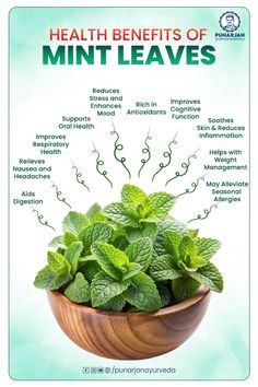 the health benefits of mint leaves in a wooden bowl with information about them on it