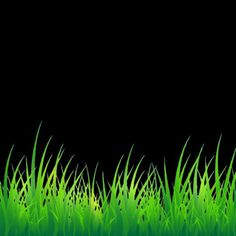 green grass on black background with space for text