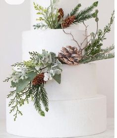 a white wedding cake with pine cones and greenery