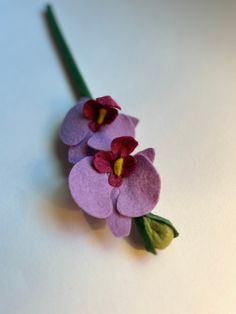 two purple flowers with green stems on a white surface