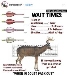 a poster with instructions on how to use different types of utensils for hunting