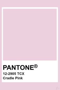 pantone's 12 - 2095 tcx cradle pink