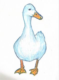 a drawing of a duck standing on one leg and looking to the side with an orange beak