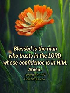 an orange flower with the words, jesus is the man who trusts in the lord, whose