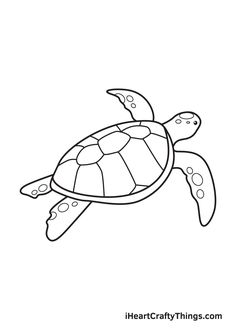 a turtle swimming in the ocean coloring page