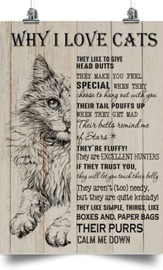 a wooden sign with the words why love cats and a cat's paw on it