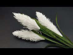 three white flowers with green stems on a black surface