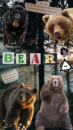 two bears are standing next to each other in front of trees and letters that say bear